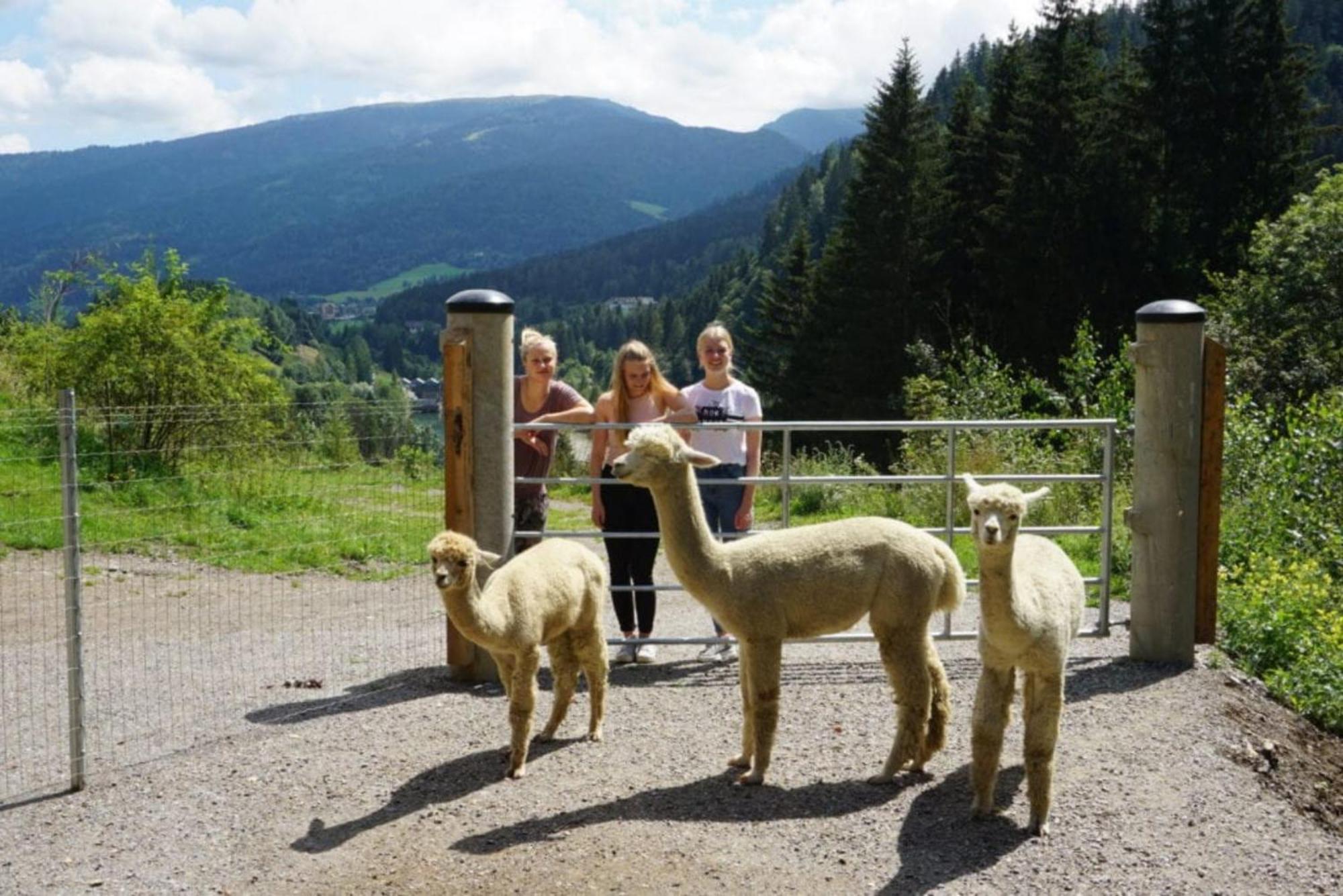 Vitalhof Am Kreischberg By Alps Resorts Bodendorf  外观 照片