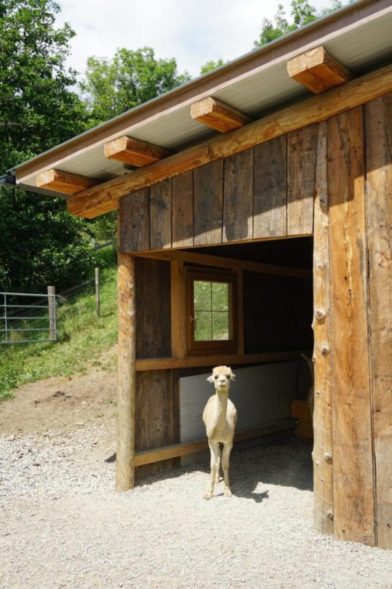 Vitalhof Am Kreischberg By Alps Resorts Bodendorf  外观 照片